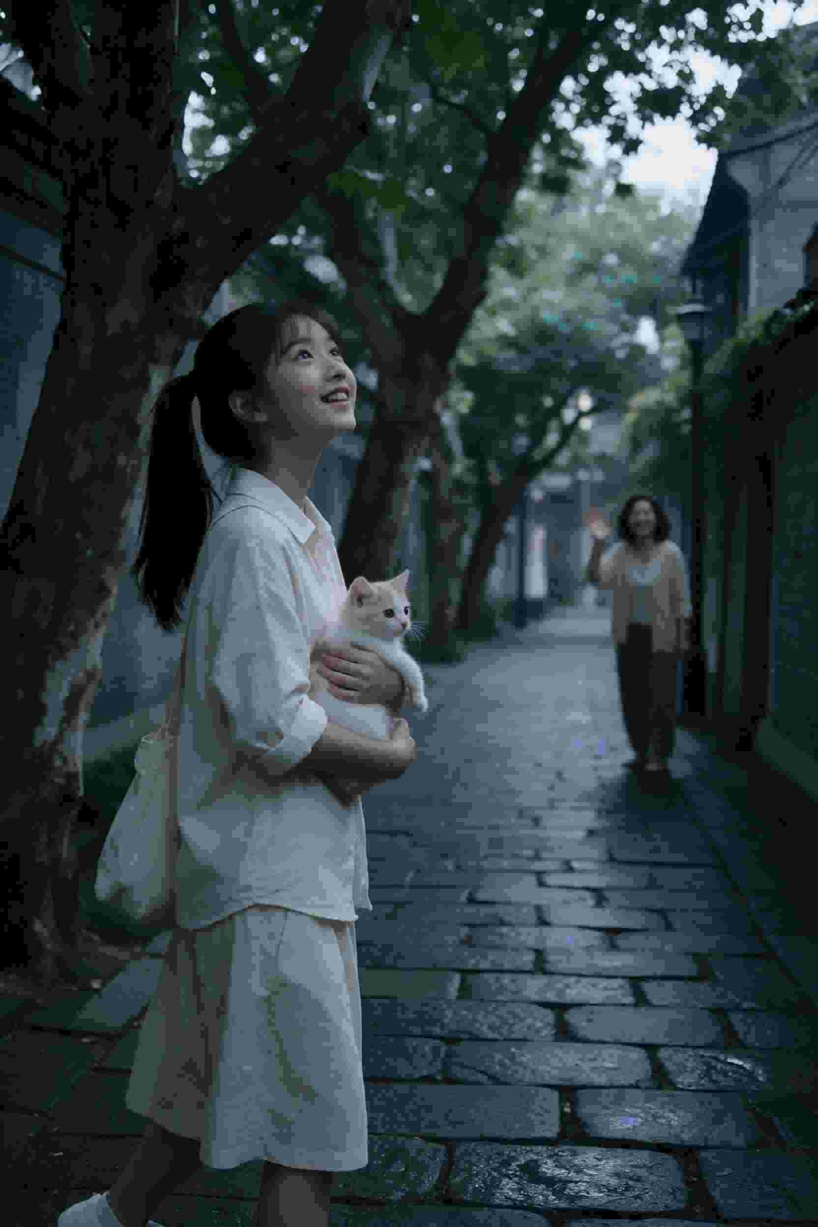 我独自升级